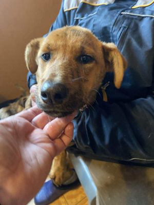 579109920 918929673962896 8437140066917232285 n