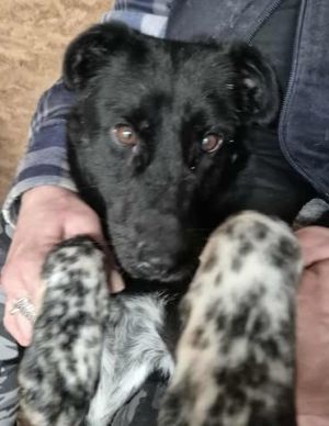 579111098 25166056373034952 3604333966163622961 n