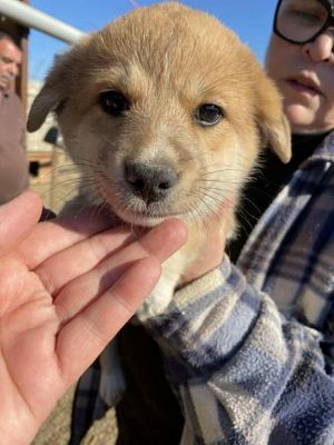 579122959 25175226305451292 8297883953768389055 n