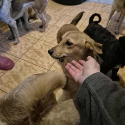 579154381 2672152986502520 3200395997242928540 n