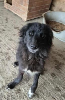 579201831 25166143236359599 4703747865224378036 n