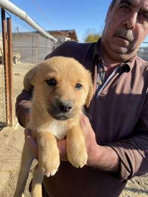 579212753 25175271838780072 8381984497513882208 n