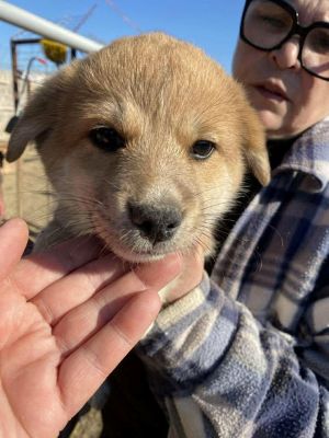 579248922 25175226785451244 6183442355449105488 n