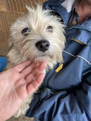 579254253 25157439540563302 5620221775785364273 n