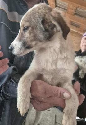 579360046 25157117323928857 8112958987189402026 n