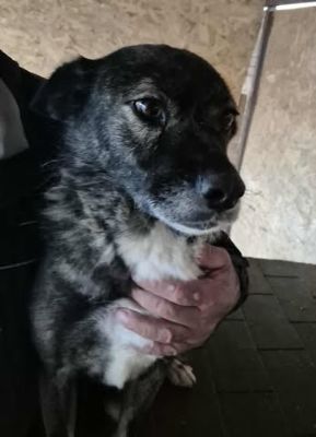 579404934 25163295999977656 6876667196539204427 n