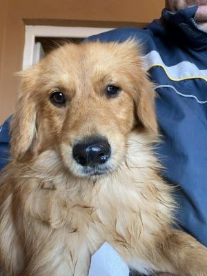 579447196 25194598726847383 7435715464498025355 n