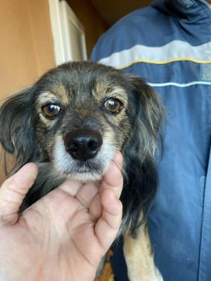 579571004 25194321923541730 6081509877503507893 n