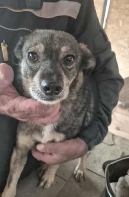 579571008 25163424219964834 690720049873230494 n