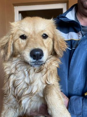 579625727 25194540680186521 2693376020875460218 n