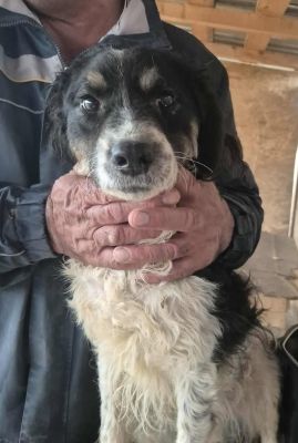 579631729 25147448198229103 459680177908143770 n