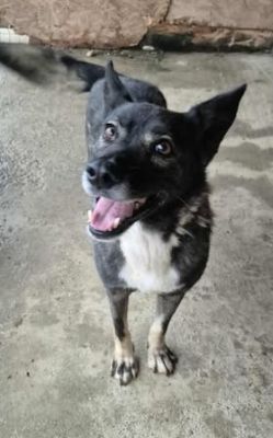 579686547 25163295289977727 3844496181128317735 n