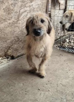 579899106 25163599239947332 7207879884717492557 n