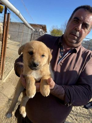 579939412 25175271455446777 5489657441473946257 n