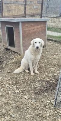 579944564 25174920925481830 9063648025987700410 n