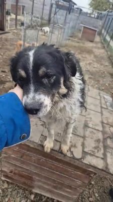 580015077 1828061248075958 8487054007884564605 n