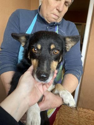 580020475 25202746252699297 5011882115531962646 n