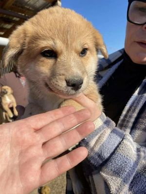 580036504 25175225512118038 3454062769293957824 n