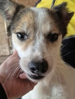 580038684 25153300940977162 7070852447468624538 n