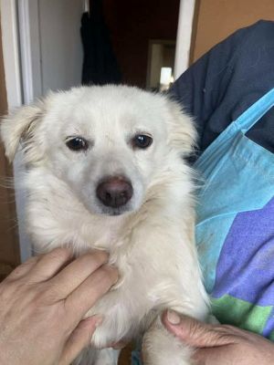 580042127 25202661892707733 8972305743622137060 n