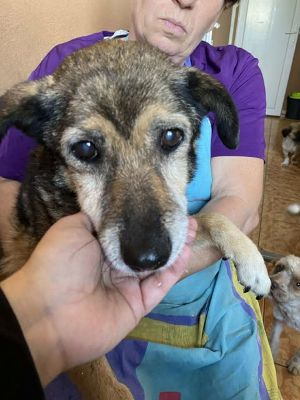 580061515 25203036509336938 5466298151893080058 n