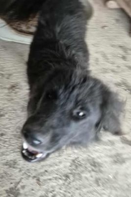 580089899 25166142709692985 1425128735344086660 n