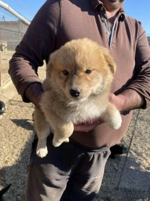 580095304 25175159465457976 8202920854372537604 n