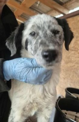 580118190 25157211747252748 4544399153709751829 n