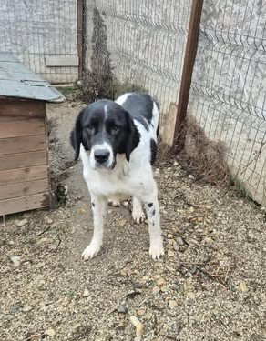 580129300 25165931696380753 2113788067314817965 n