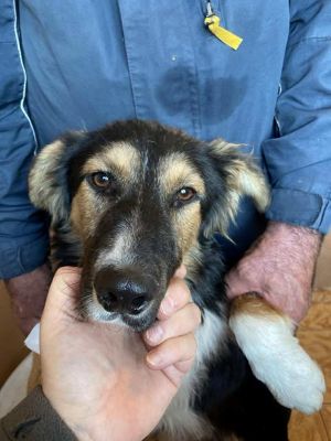 580186927 25194390123534910 6620219907109255558 n