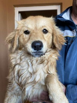 580187350 25194541000186489 155664534354888655 n