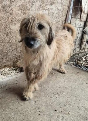 580347107 25163598773280712 6379323481471472825 n