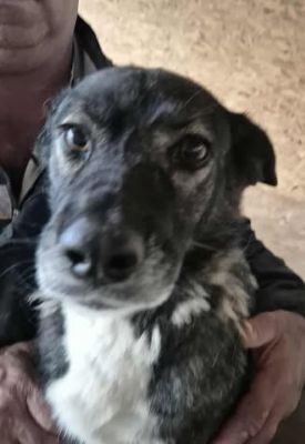 580393361 25163295349977721 611723201805166579 n