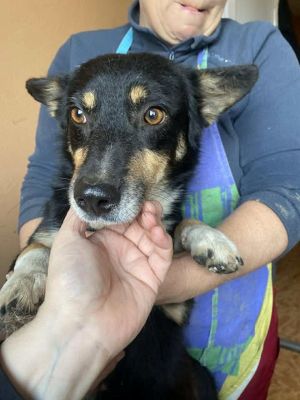 580402254 25202745736032682 3325152833781231213 n