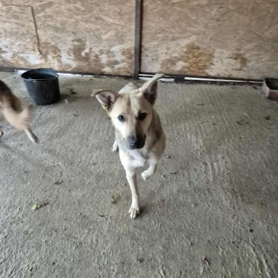 580470780 25175038018803454 9174157165965173643 n