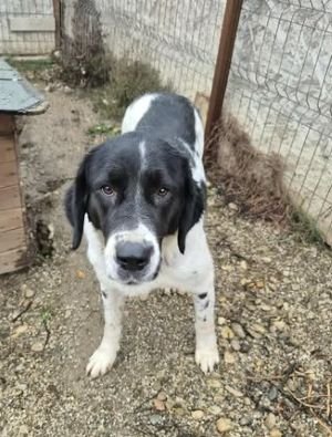 580488089 25165930959714160 4683561731463736171 n