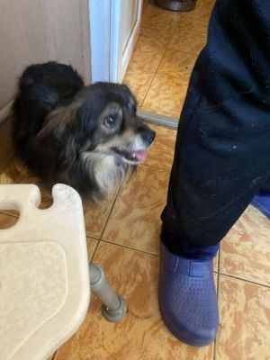 580518892 25194320960208493 8336094406341727809 n