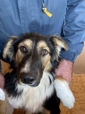 580607888 25194390853534837 7413460595255788683 n