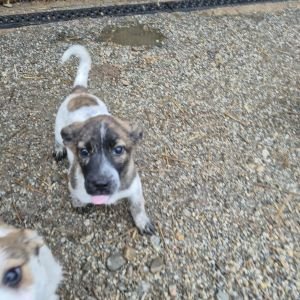 580629565 829057733358371 2266569574902492514 n