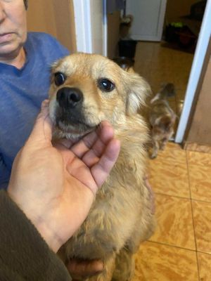 580725358 849908114660691 2997059367479187540 n