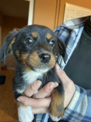 580743631 826013650126846 914601967143859355 n