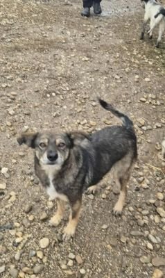 580748254 25174955442145045 8962294132538522727 n