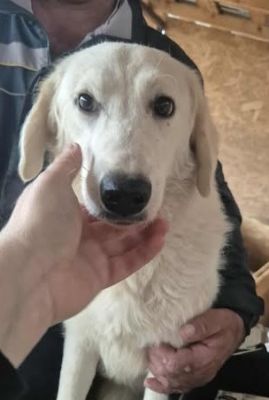 580761951 25163172833323306 2506517701764852163 n