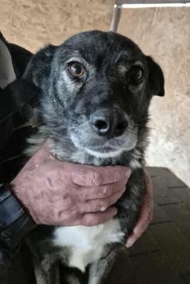 580836031 25163342443306345 8283848294974237169 n