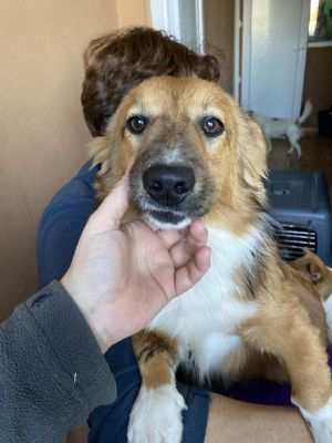 580910463 25202868429353746 5188705097799086128 n