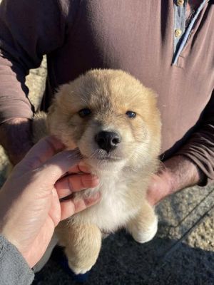 580924848 25175158515458071 6856375946588314042 n