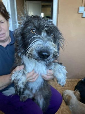 581064478 25202948839345705 8708361109845649501 n