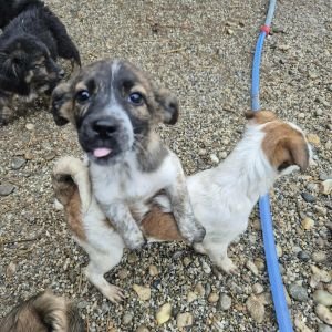 581113915 1538328207516034 8281401435695292240 n