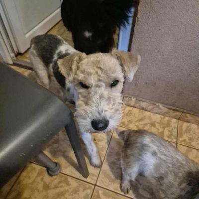 581121295 2619569171745416 5038320100175373468 n