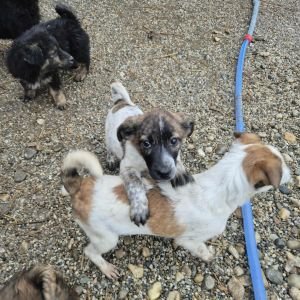 581129272 1345494207117249 6992446537953884248 n